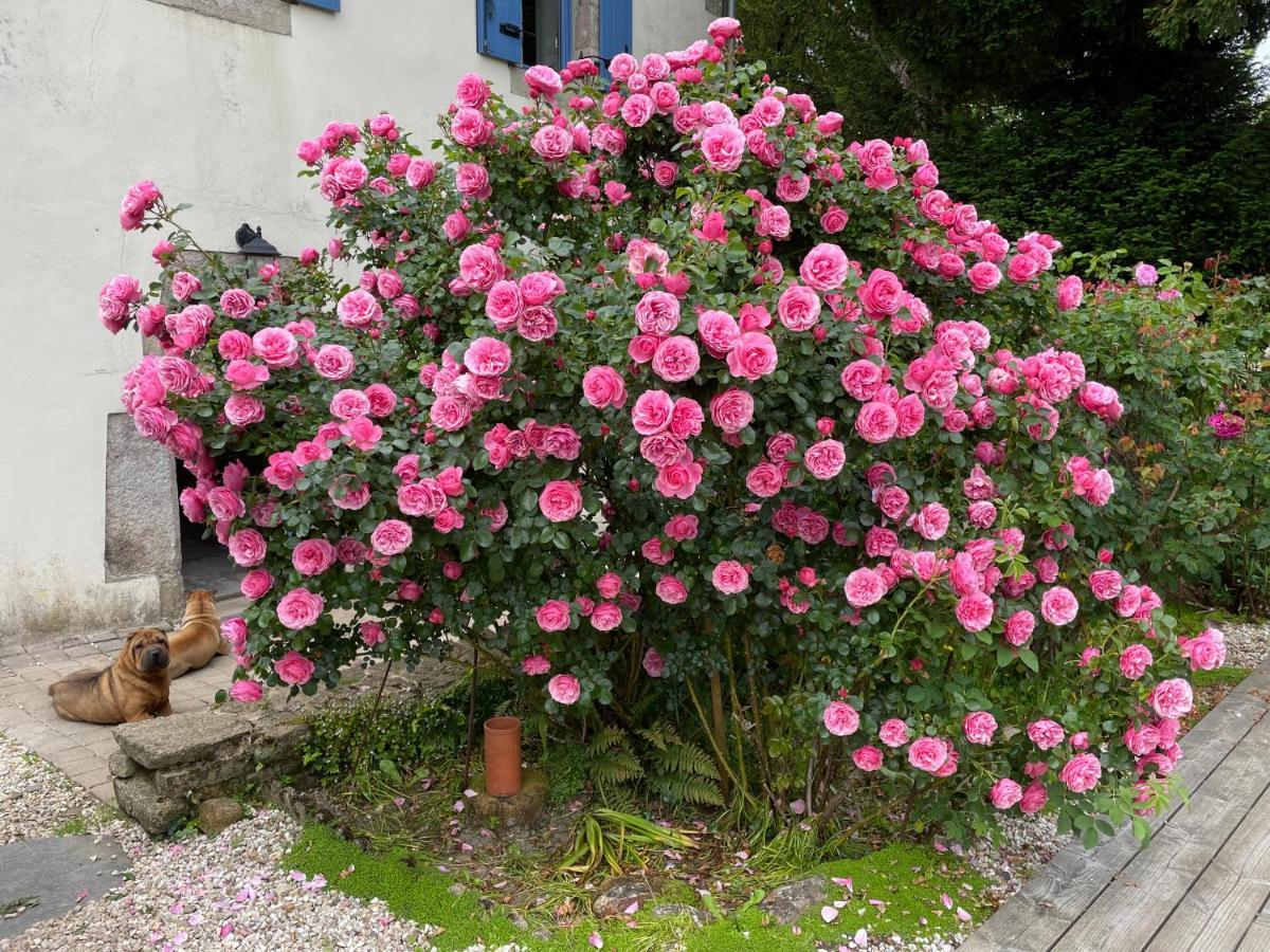 Chez Nosch Bed & Breakfast Plouegat-Guerand Ngoại thất bức ảnh